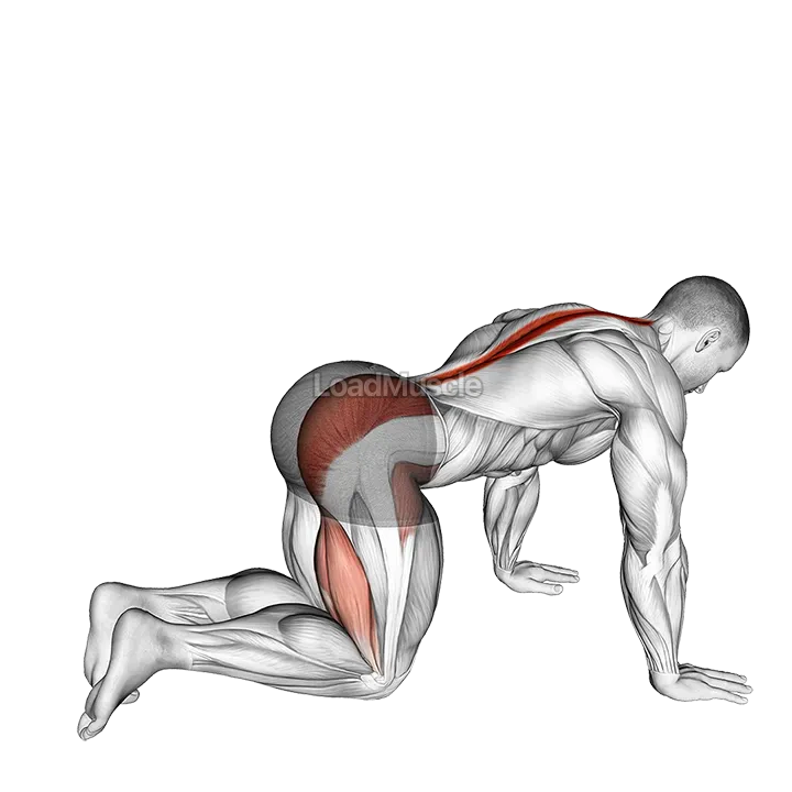 Bent Knee Back to Side Kick demonstration