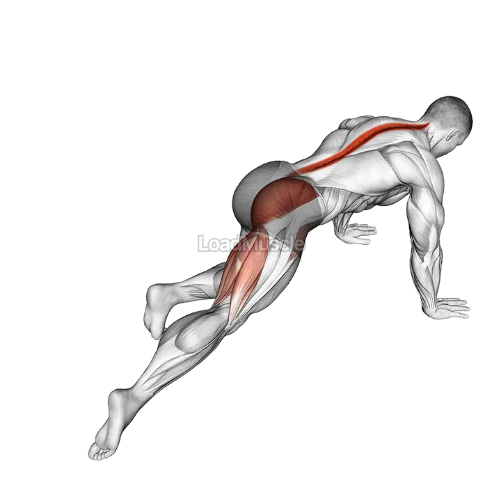 Kneeling Leg Half Circle demonstration