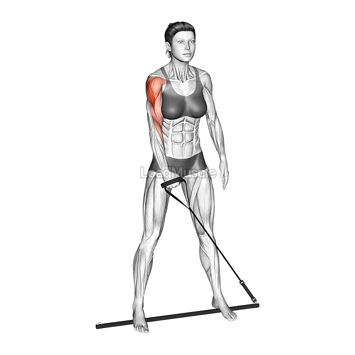 Bar Band Standing Single Arm Upright Row demonstration