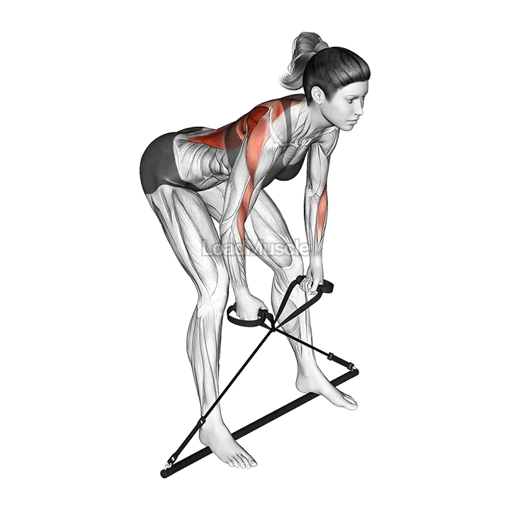 Bar Band Bent Over Row demonstration