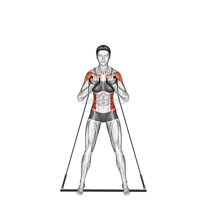 Bar Band Side Bend Press demonstration