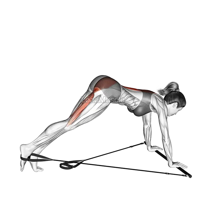 Bar Band Single Leg Reverse Hyperextension demonstration