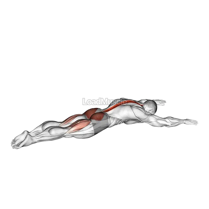 Alternating Superman demonstration