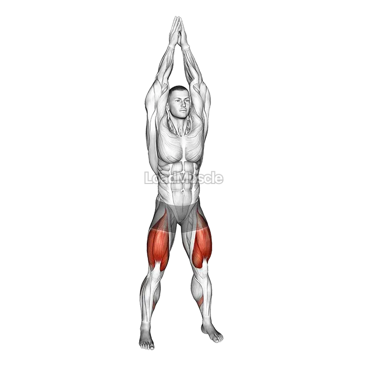 Air Squat demonstration