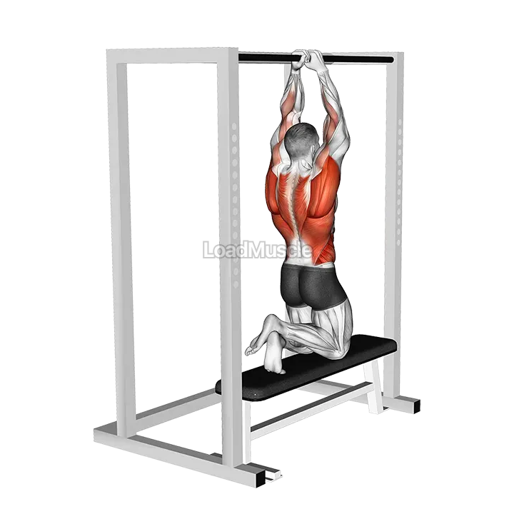 Assisted Commando Pull up demonstration