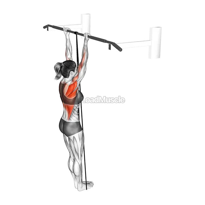 Band Assisted Chin Up demonstration