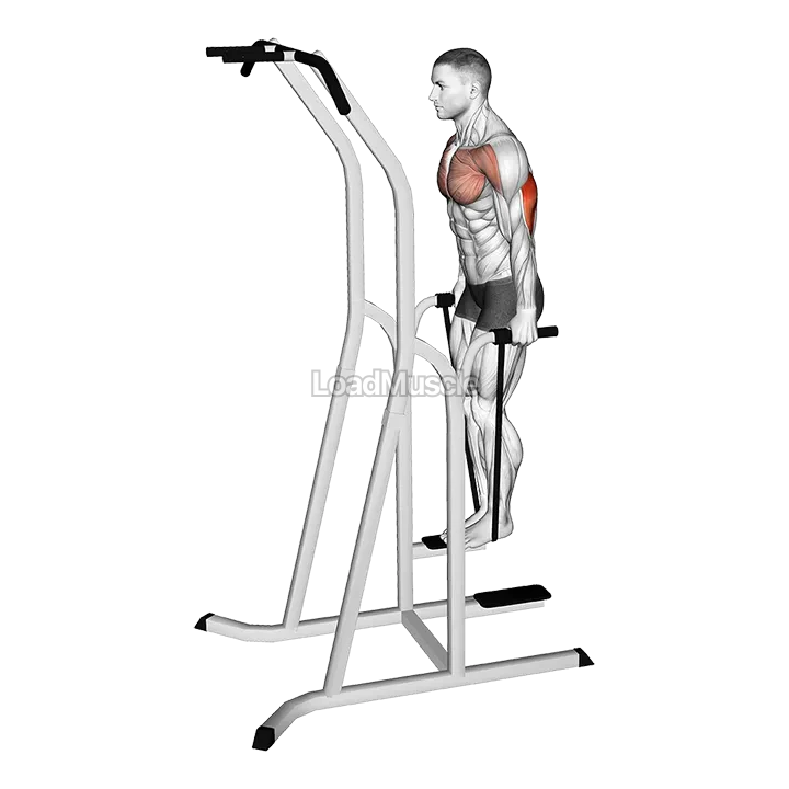 Band Assisted Dip demonstration