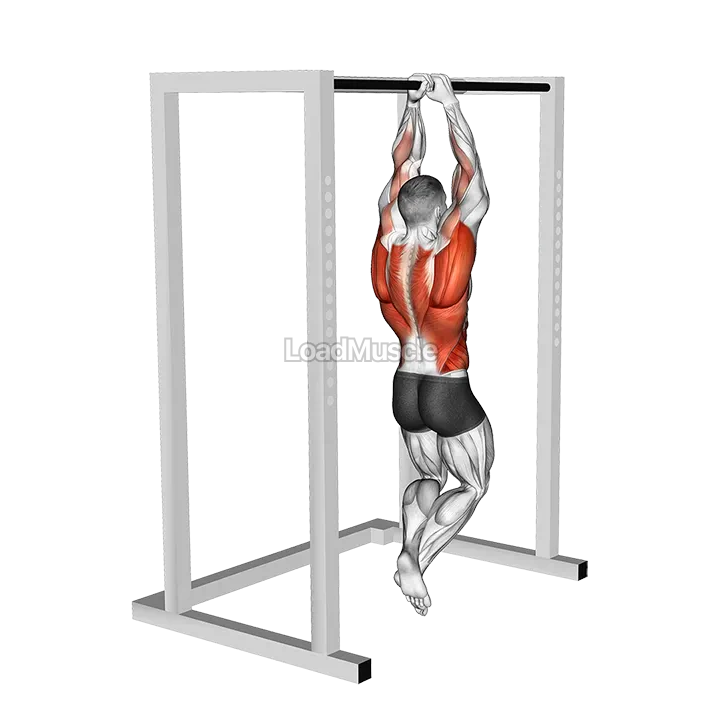 Commando Pull up demonstration