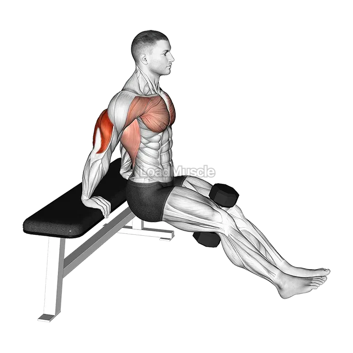 Dumbbell Bench Dip demonstration