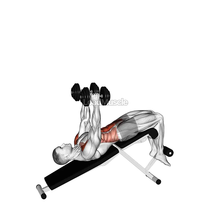 Dumbbell Decline Overhead Sit up demonstration