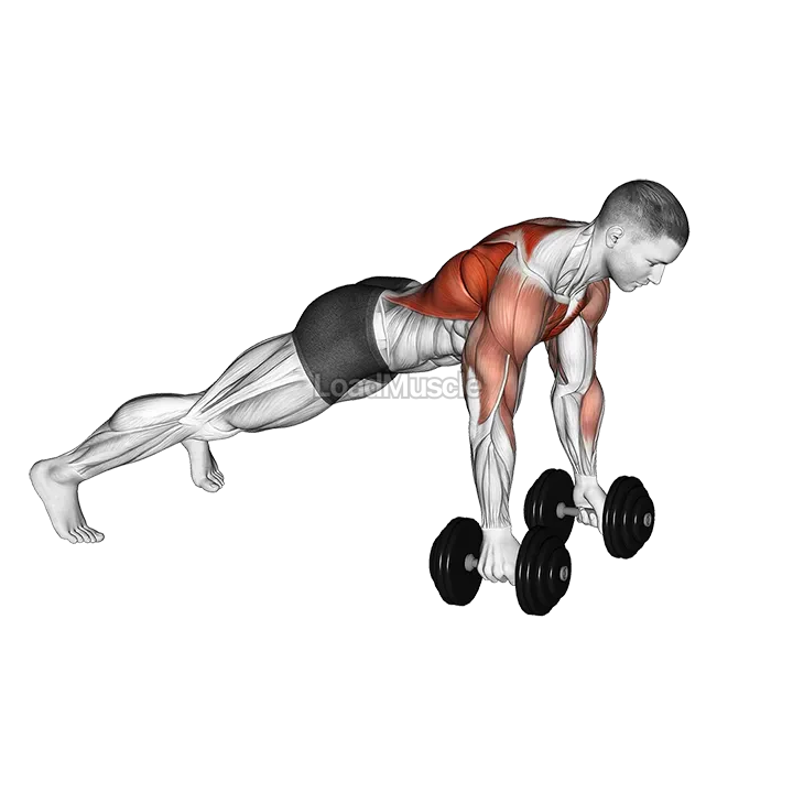 Dumbbell Deep Push up and Renegade Row demonstration