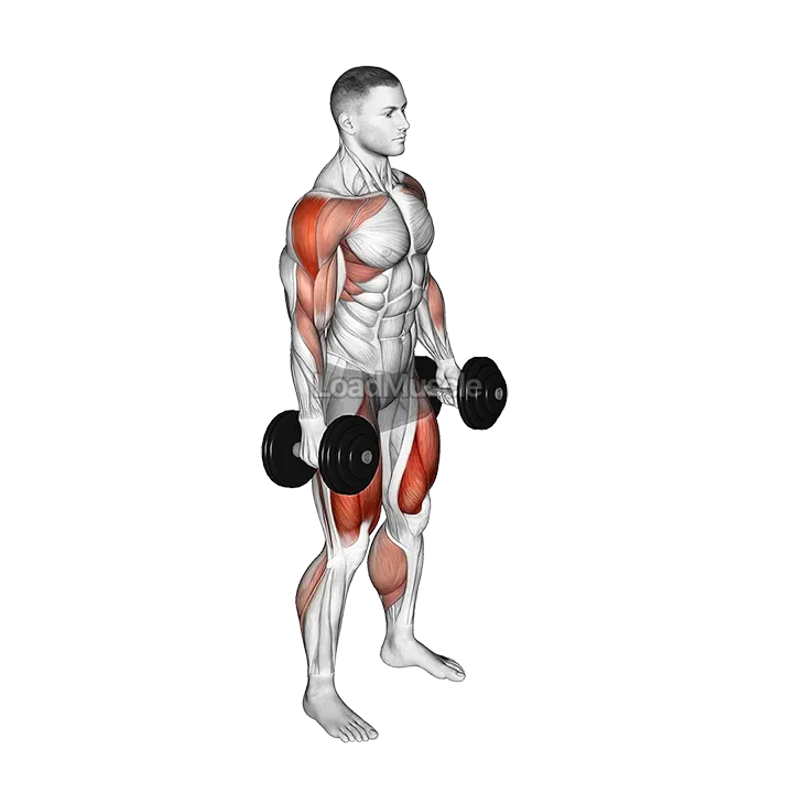 Dumbbell Hang Power Clean demonstration