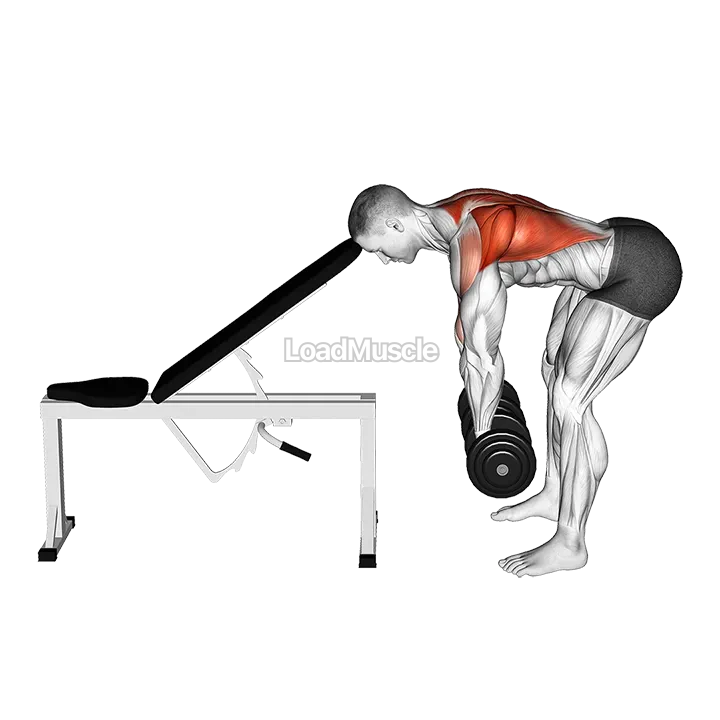 Dumbbell Head Supported Row demonstration