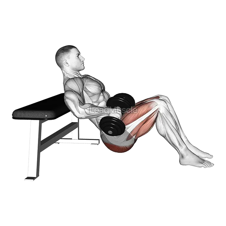 Dumbbell Hip Thrust demonstration