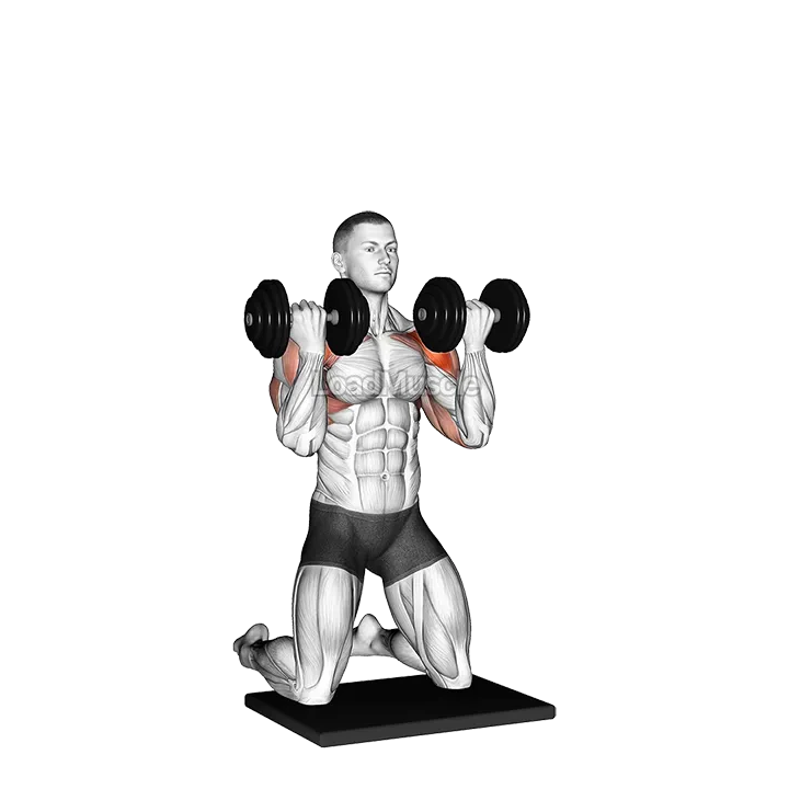 Dumbbell Kneeling Arnold Press demonstration