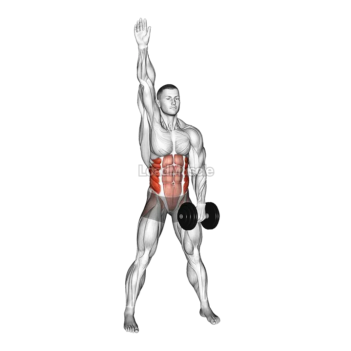 Dumbbell Low Windmill demonstration