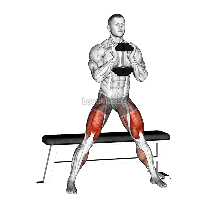 Dumbbell Side Bench Squat demonstration