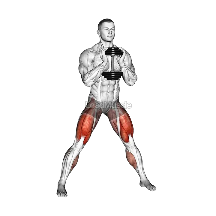Dumbbell Side Squat demonstration