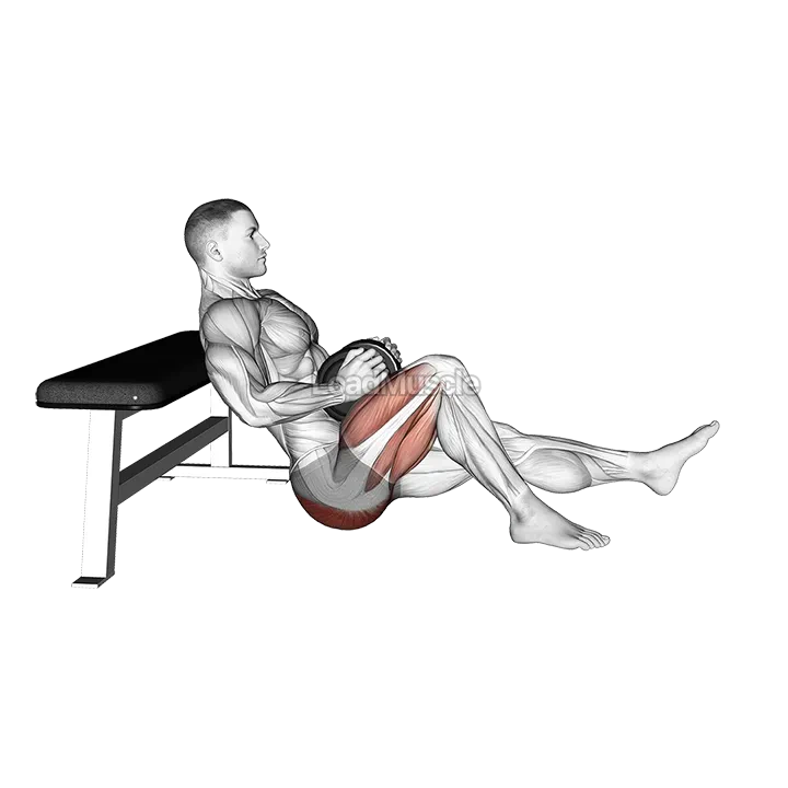 Dumbbell Single Leg Hip Thrust demonstration