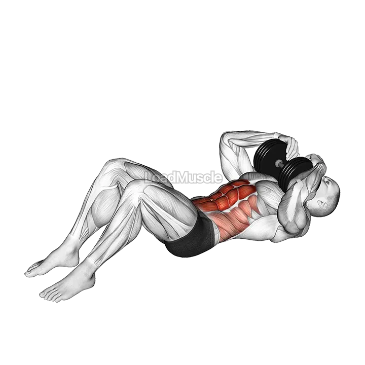 Dumbbell Sit up demonstration