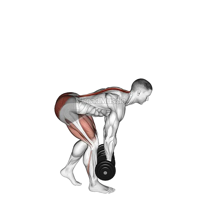 Dumbbell Staggered Stance Romanian Deadlift demonstration