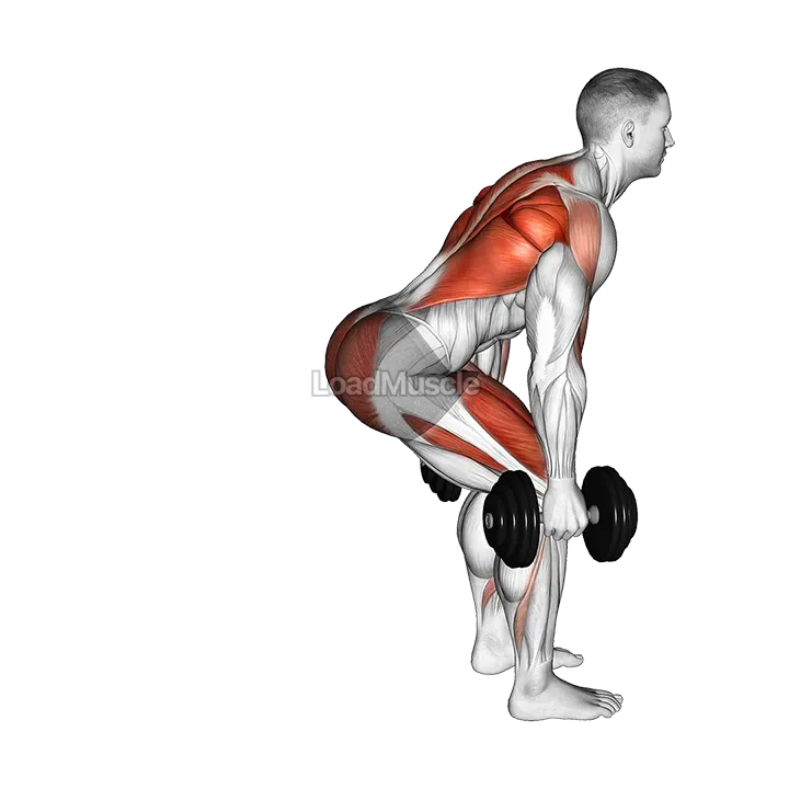 Dumbbell Step Back Lunge and Row demonstration