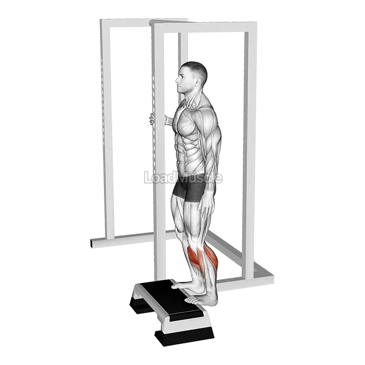 Elevated Standing Calf Raise demonstration