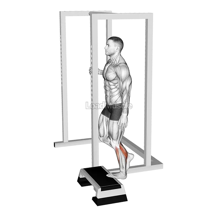 Elevated Standing Single Leg Calf Raise demonstration