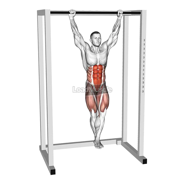 Hanging Knee Circle Raise demonstration