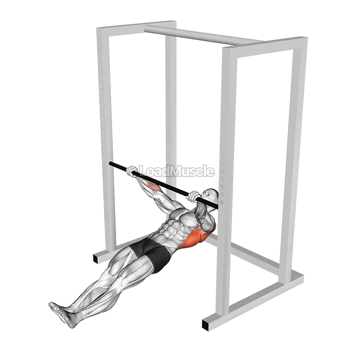 Inverted Wide Row demonstration