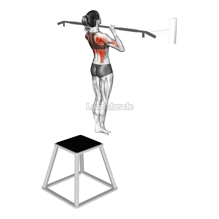 Pull up (negative) demonstration