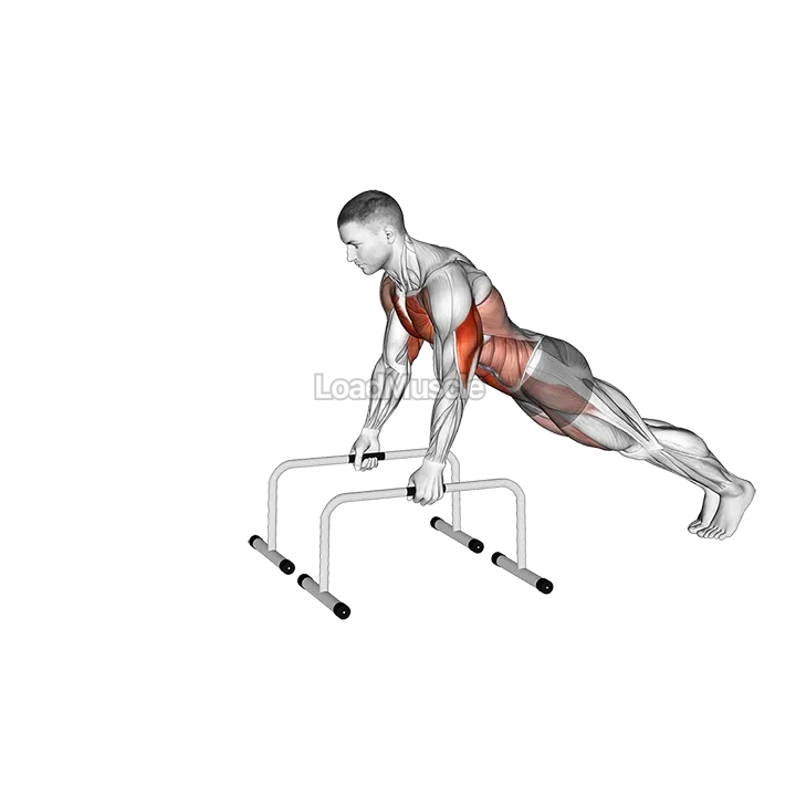 Push up and Triceps Dip on Parallel Bars demonstration