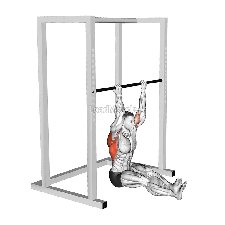 Seated Chin up demonstration