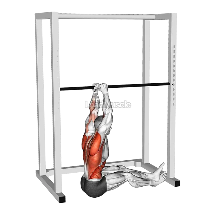 Seated Commando Pull up demonstration