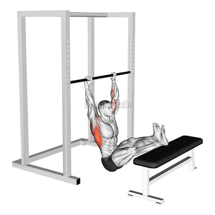 Seated Pull up (legs elevated) demonstration