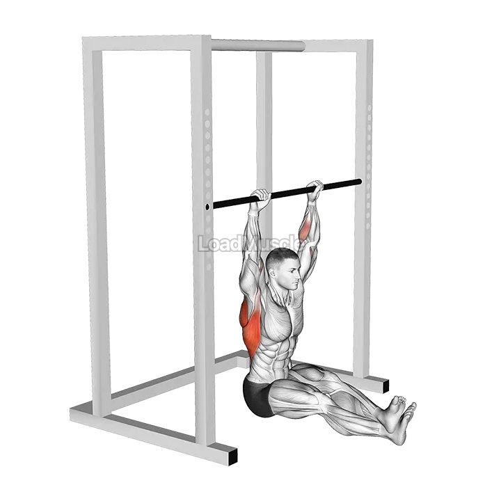 Seated Pull up demonstration