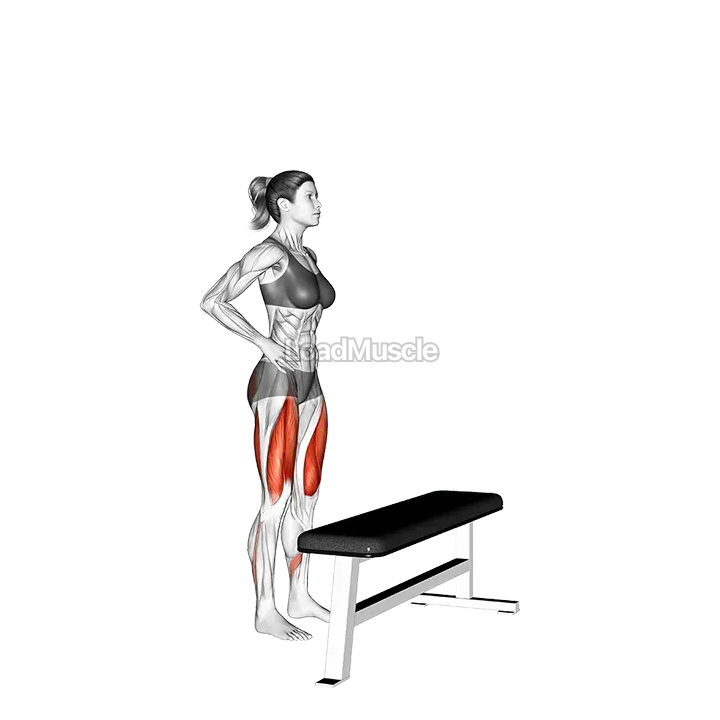 Single Leg Step Up on Bench demonstration