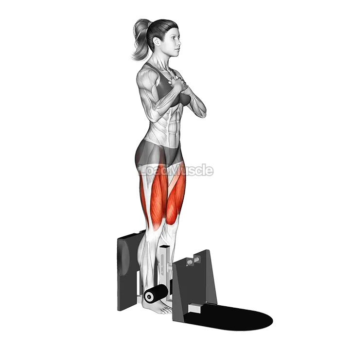 Supported Squat demonstration