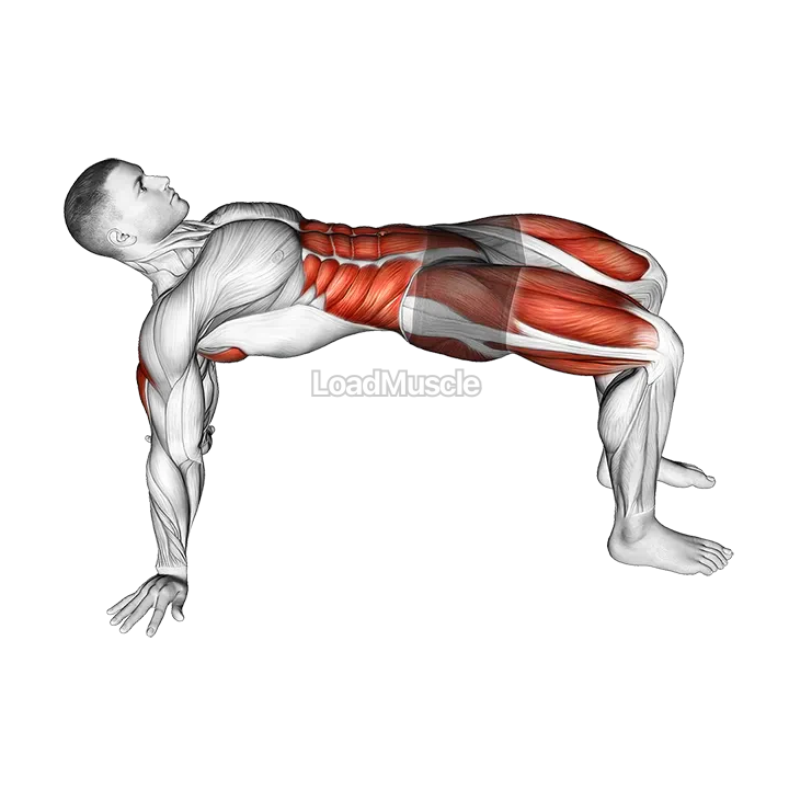 Table Top Bridge Rotation demonstration