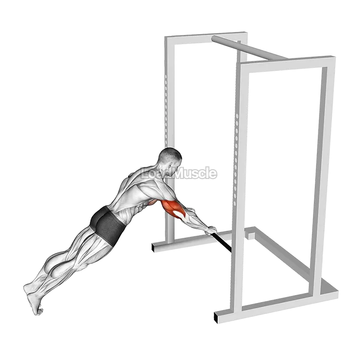 Triceps Press (low bar position) demonstration