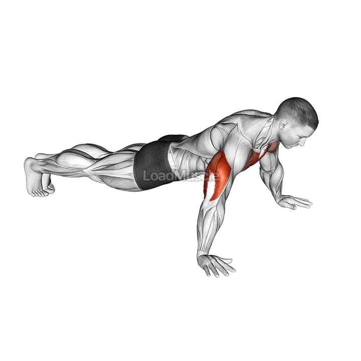 Wide to Narrow Push Up demonstration