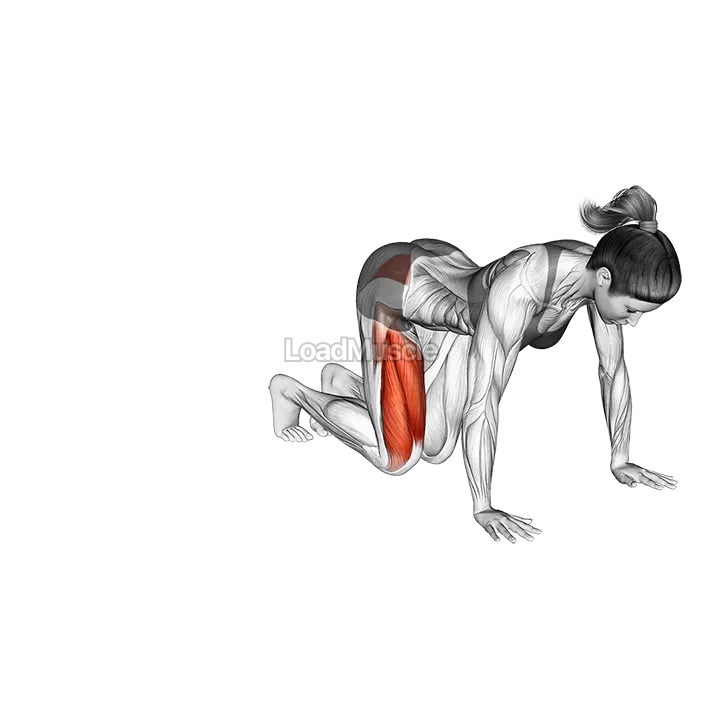 Kneeling Side Leg To Kick demonstration