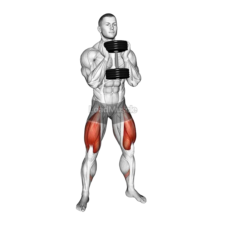 Dumbbell Goblet 2 sec Hold Squat demonstration