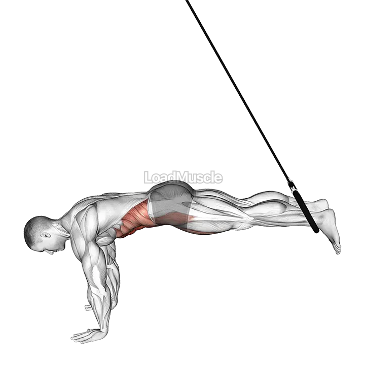 Ring Reverse Ab Rollout demonstration