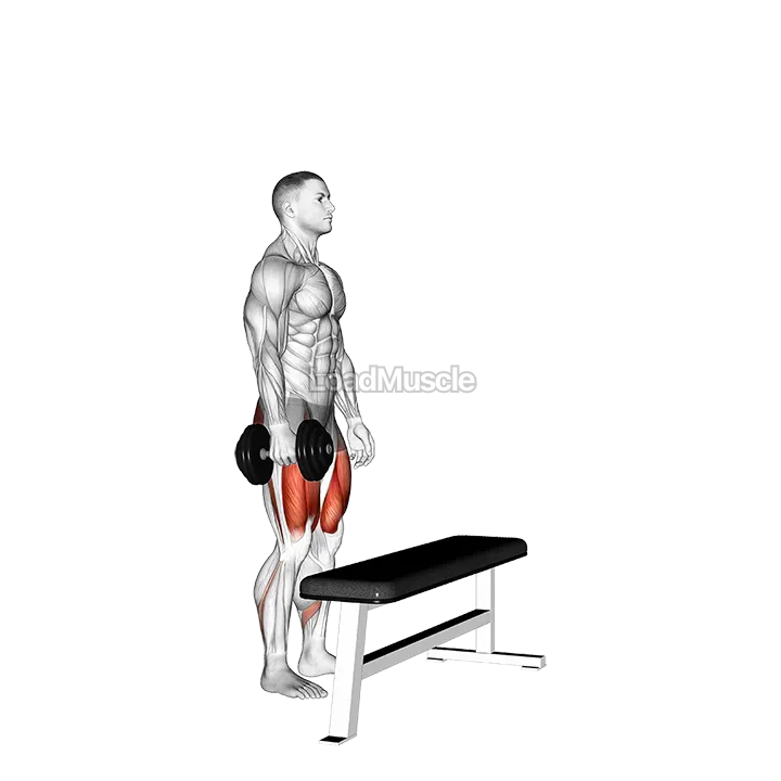 Dumbbell Single Leg Step-Up on Bench demonstration