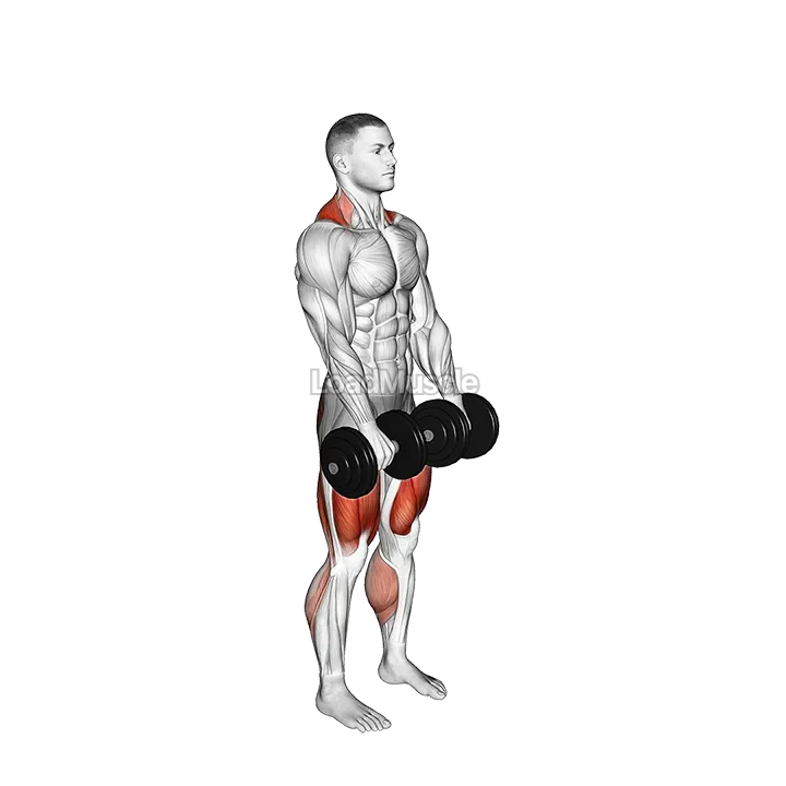 Dumbbell RDL to Jump Shrug demonstration