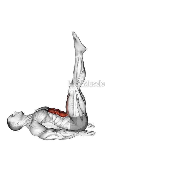 Alternate Leg Raise demonstration