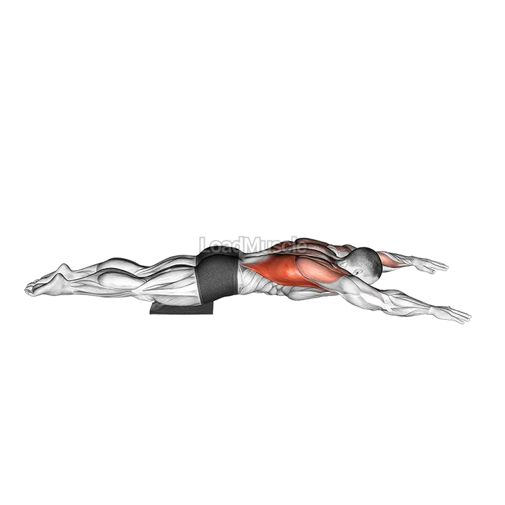 Sliding Floor Pulldown on Towel demonstration