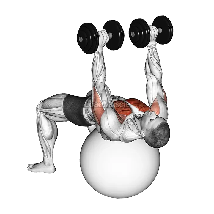 Dumbbell Alternate Chest Press on Stability Ball demonstration