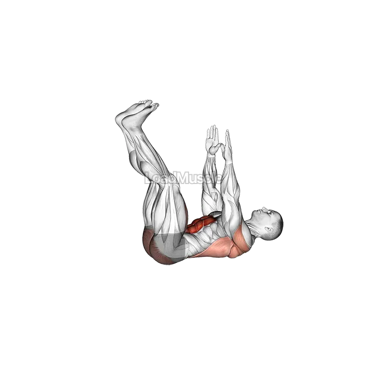 Straight Leg Dead Bug demonstration